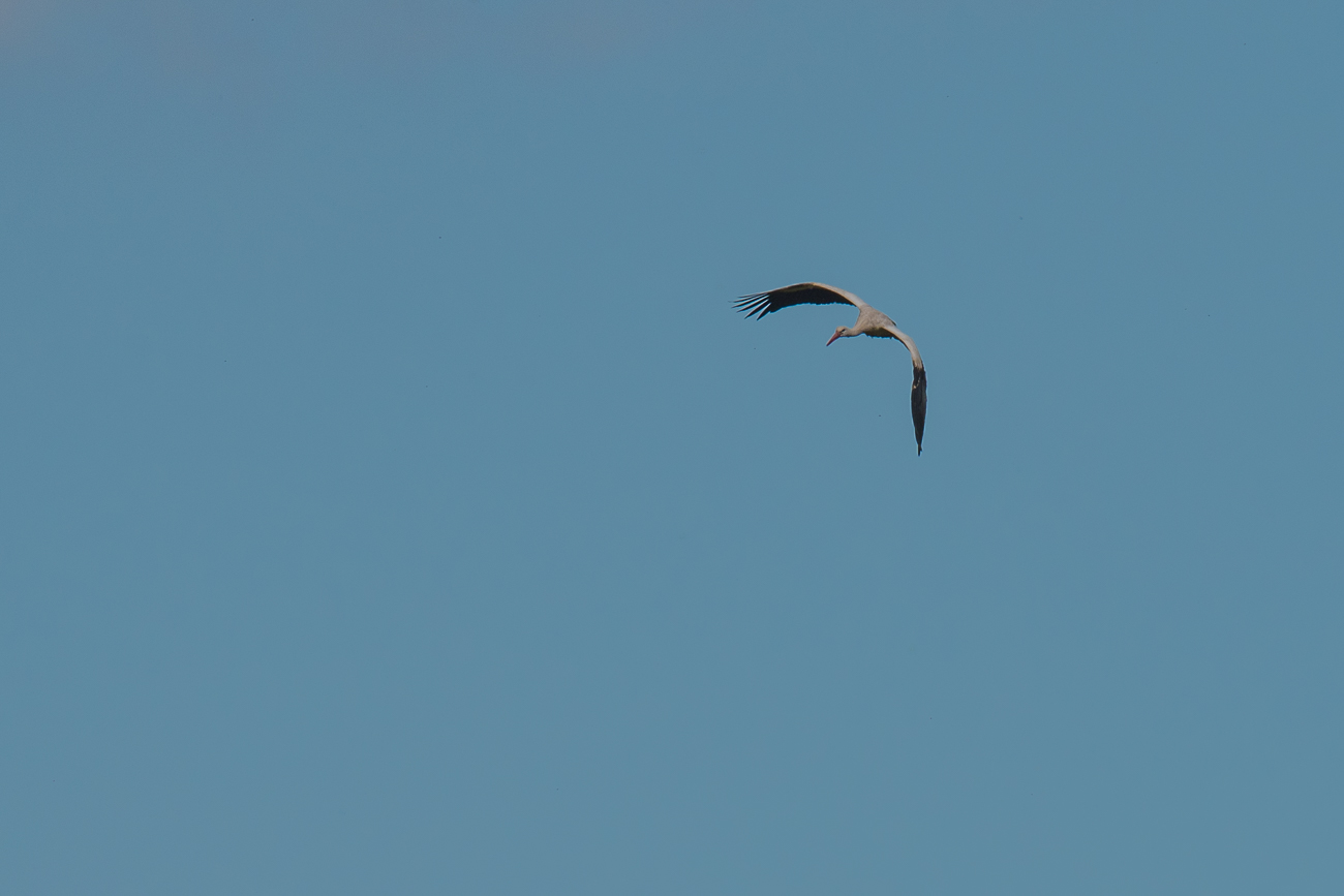 Nach einer großen Runde ...