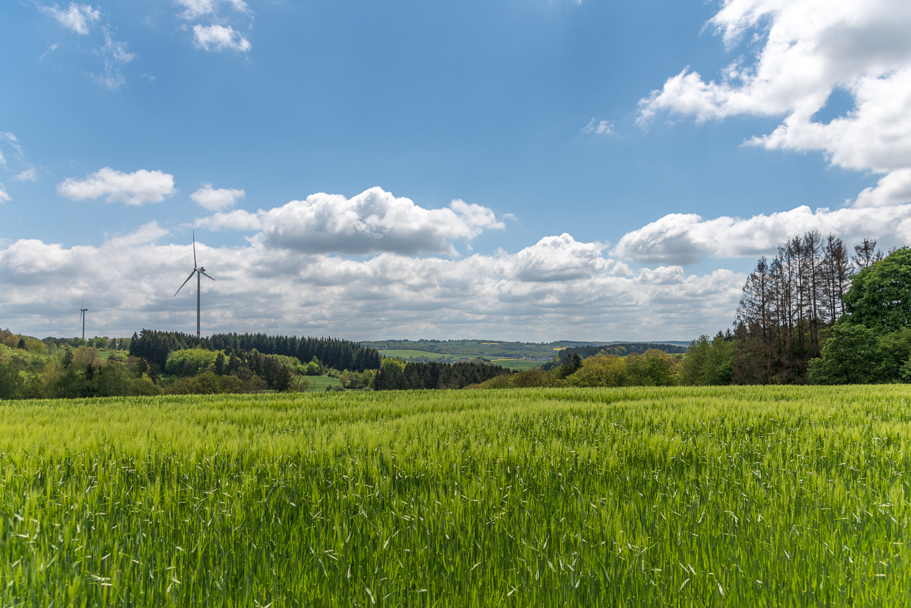 Landschaft bei Wareswald