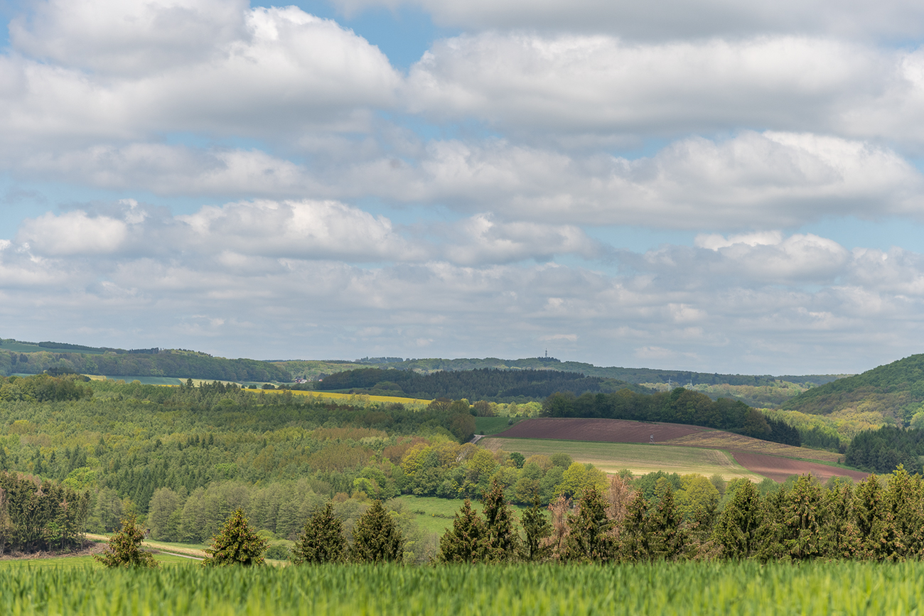 Landschaft bei Wareswald