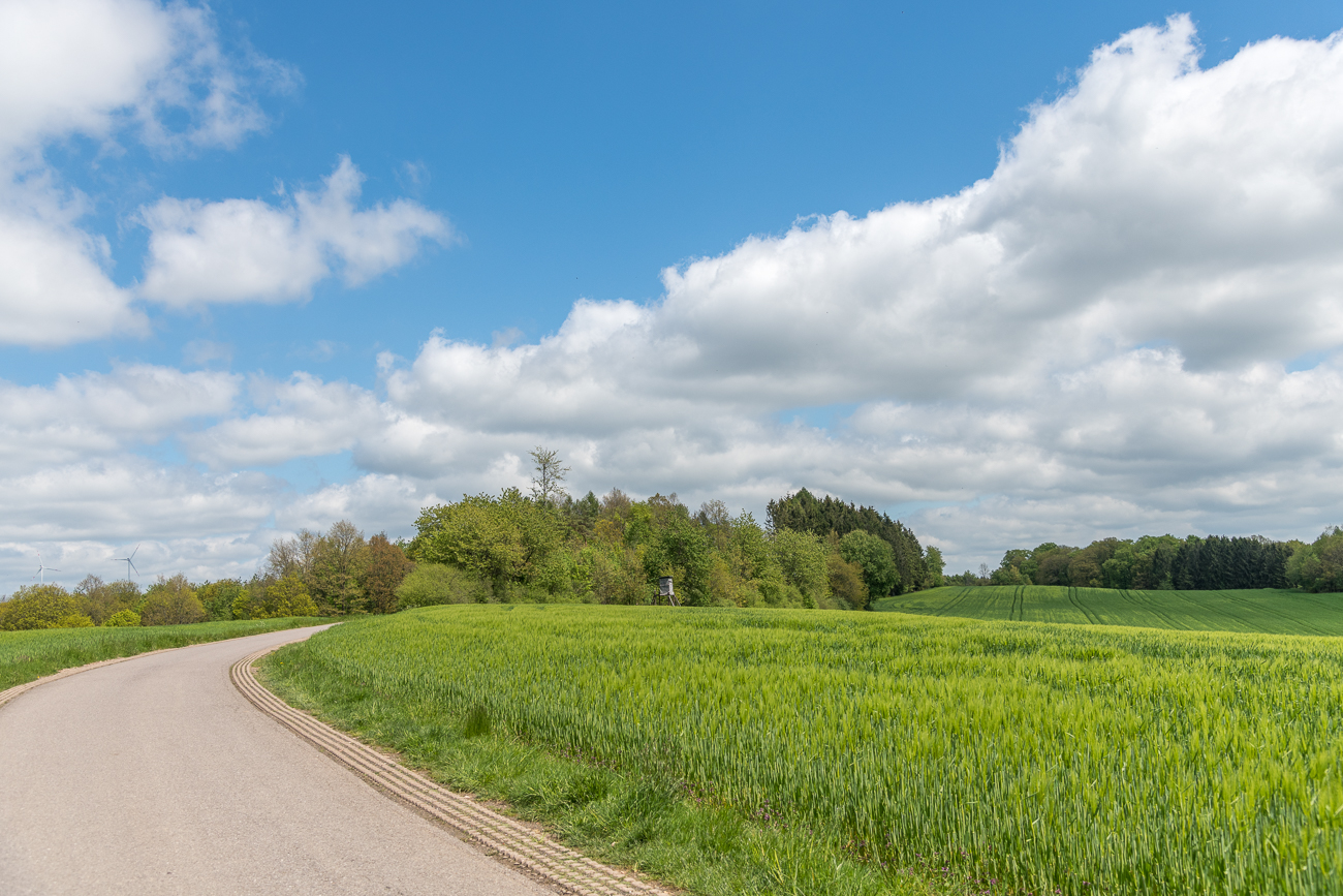 Straße zur Ausgrabungsstätte