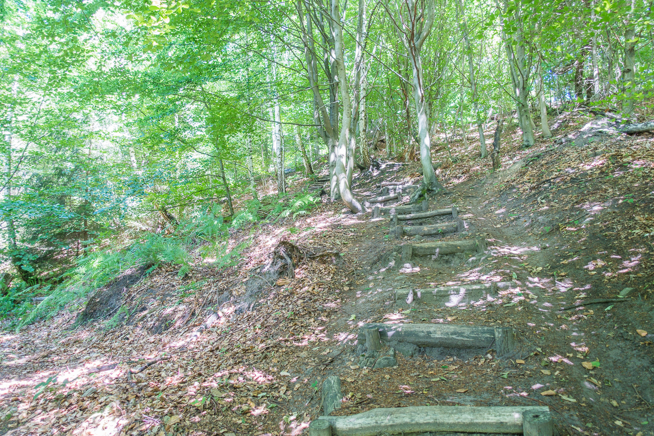 Holzstufen führen den Berg hinauf
