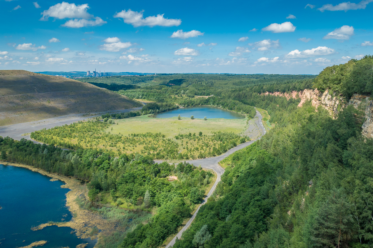 Schildkröte sonnt sich im Schatten ;-)
(Außerhalb des Wildgeheges) 