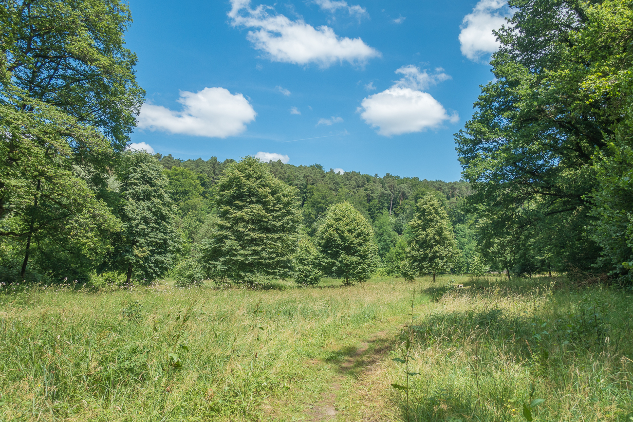 Auf den (wenigen) sonnigen Wegen, ist es ziemlich heiß