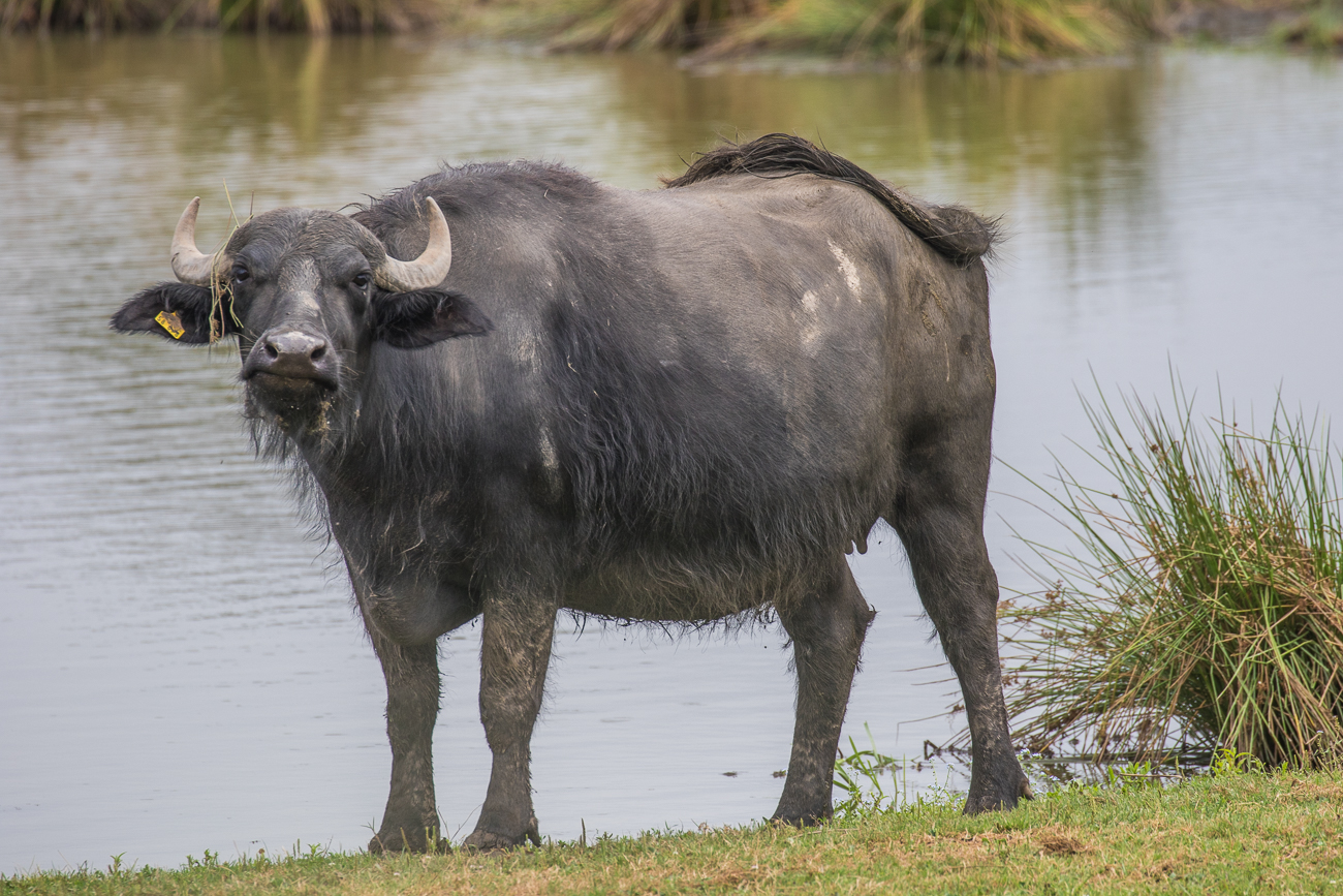 Schon wieder so ein komischer Fotograf ;-)