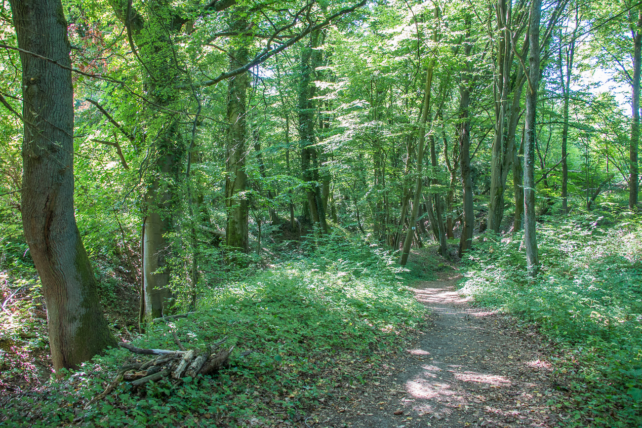 Auf dem Weg zur Flürchesklamm