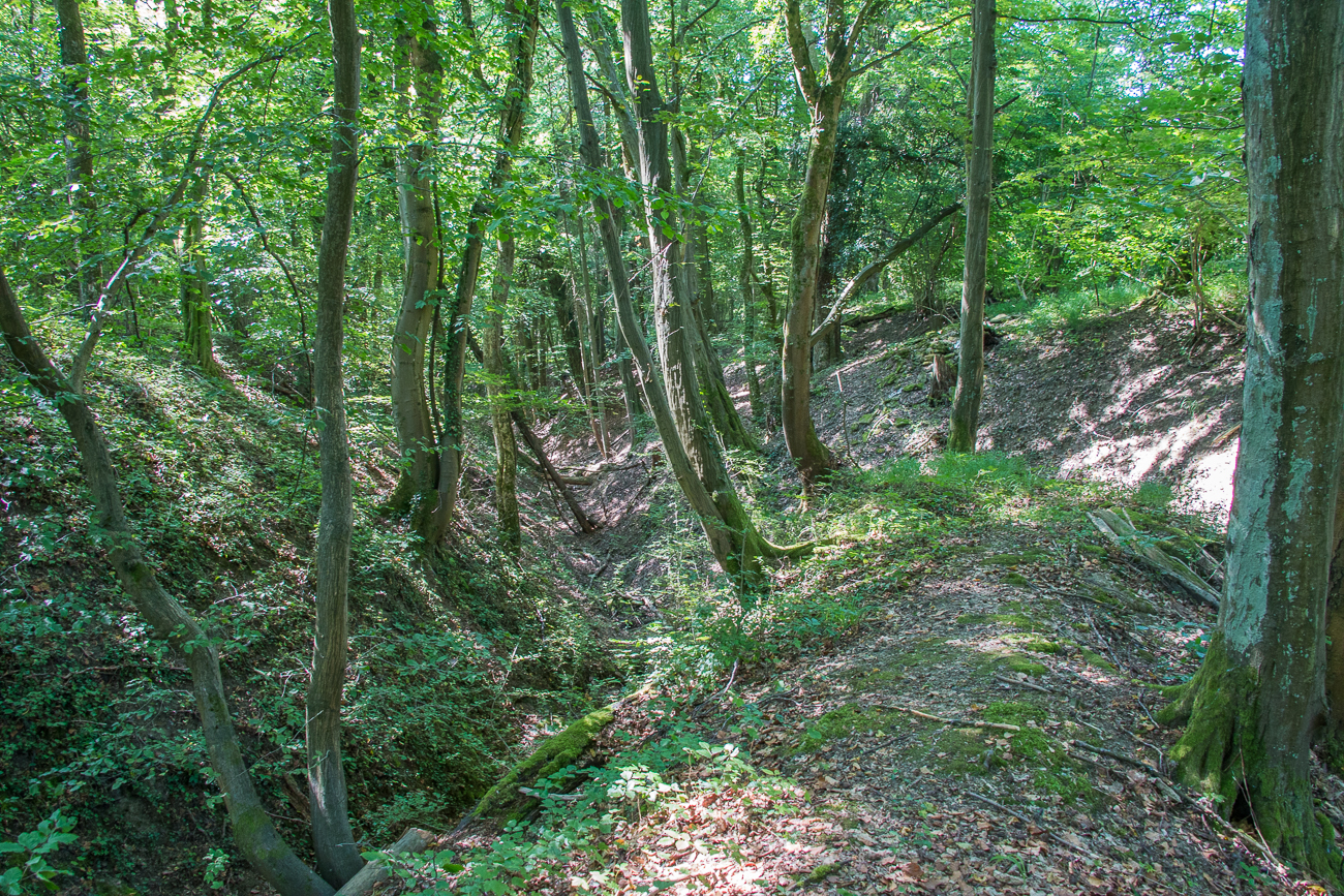 An der Flürchesklamm