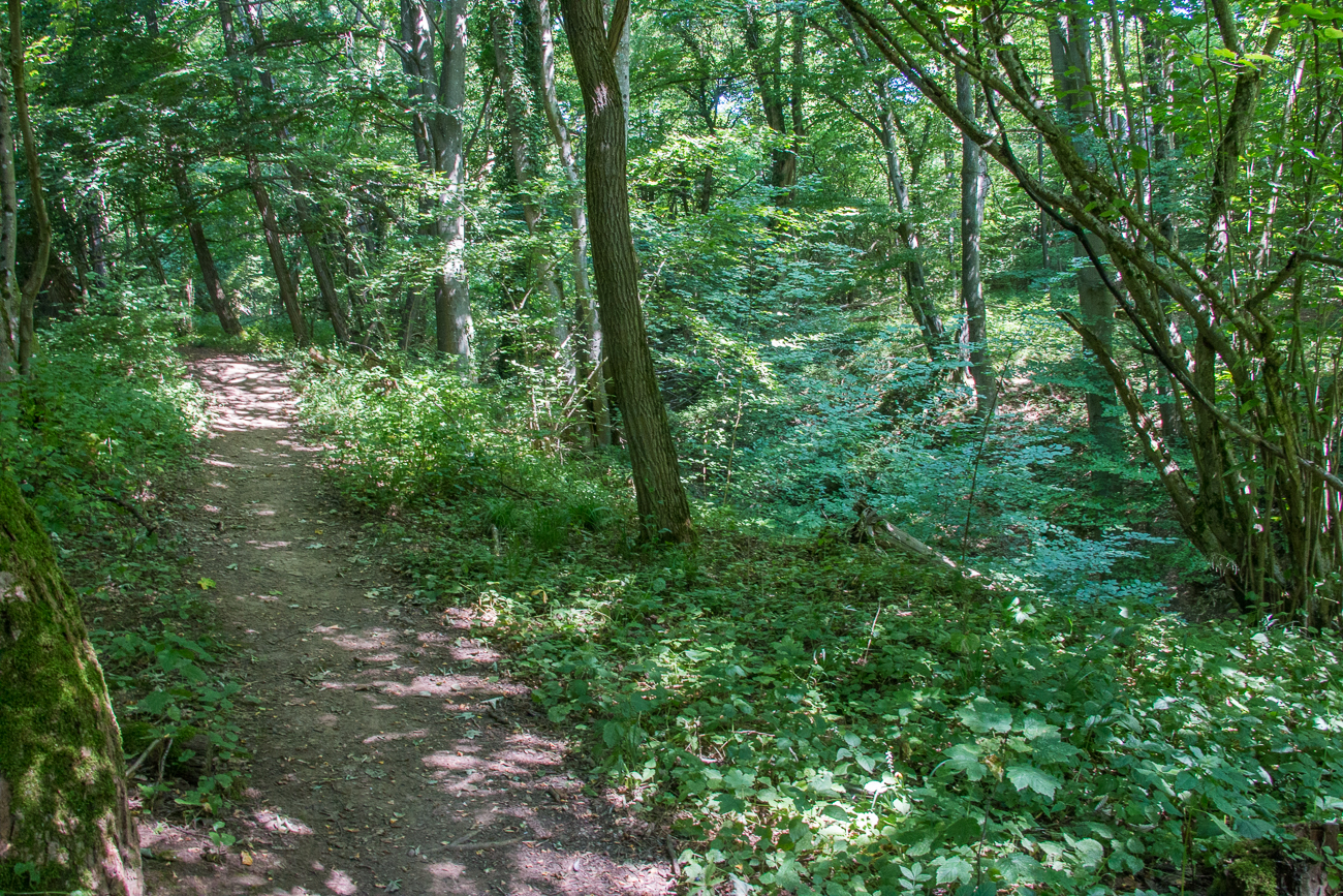 An der Flürchesklamm