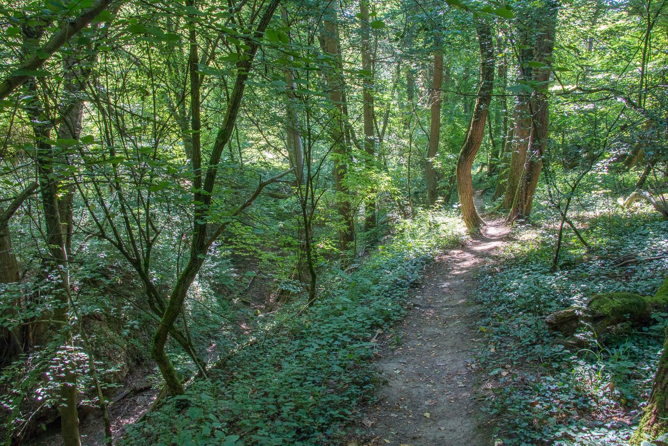 An der Flürchesklamm