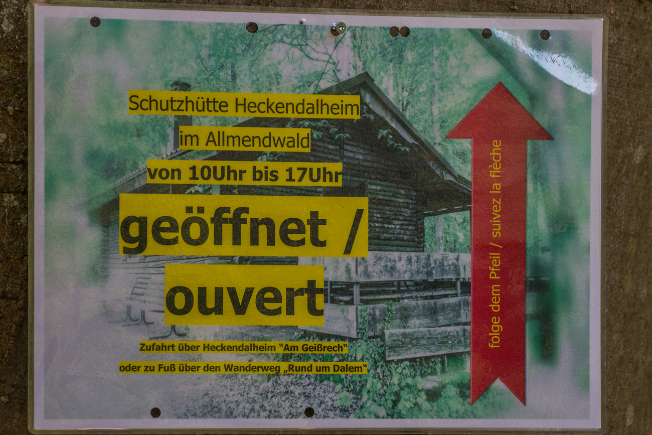 ... wie das Rotbraune Ochsenauge