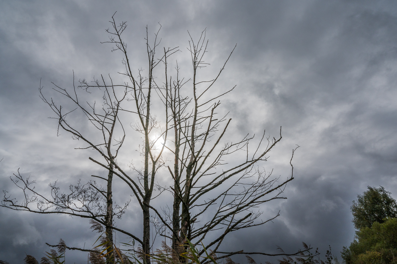 Dunkle Wolken und Regenschauer begleiten uns