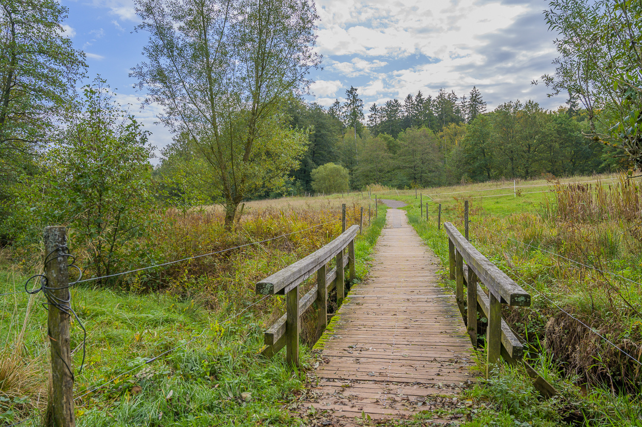 Brücke zwischen Viehweiden