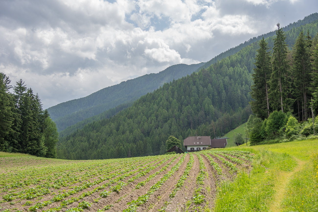 Bauernhaus mit Feld