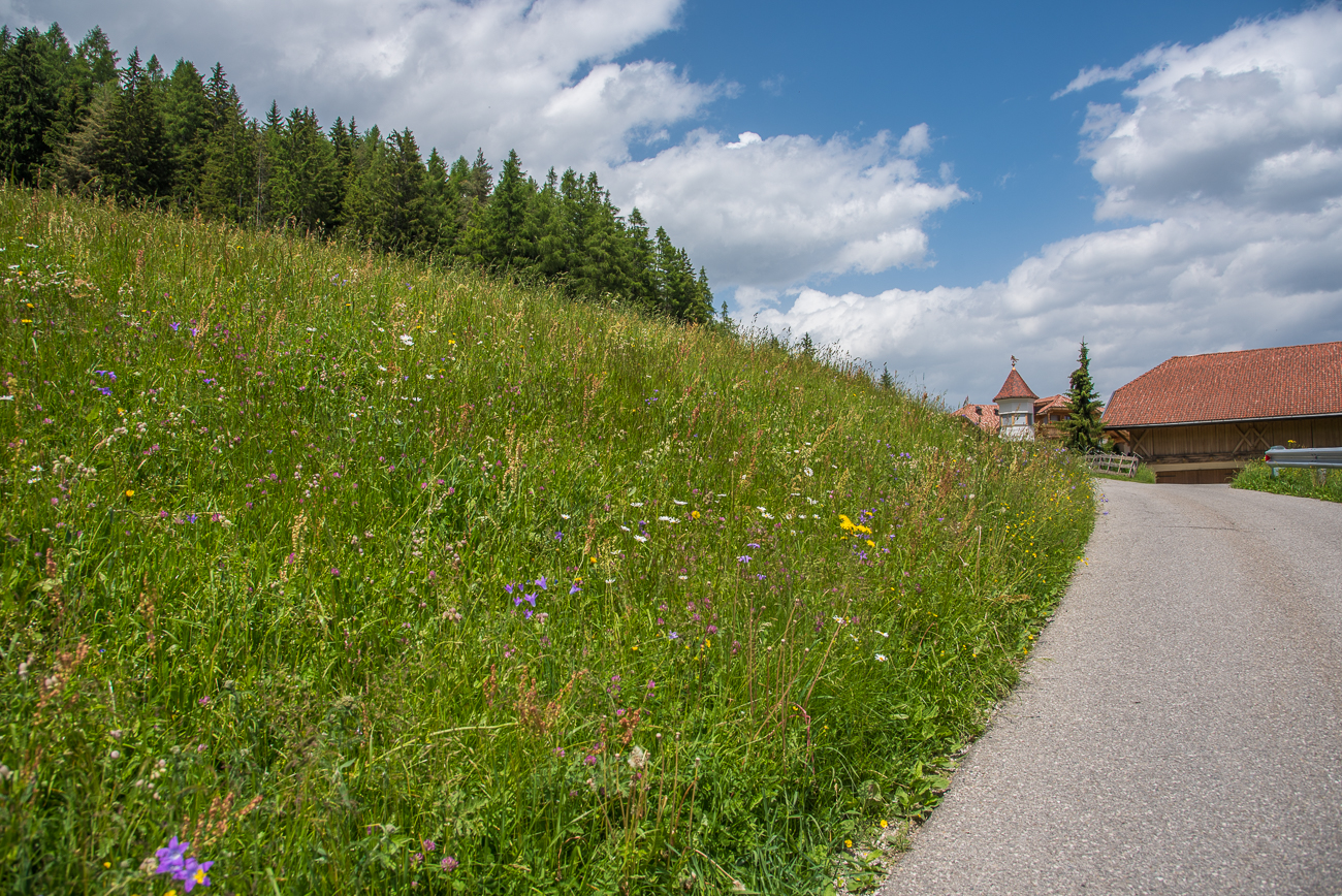 Am Almdorf Haidenberg