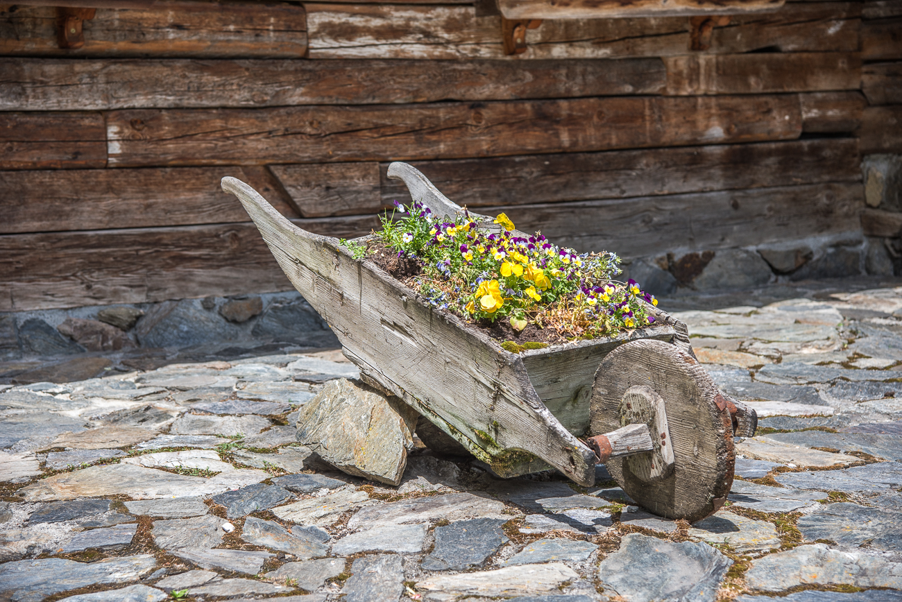 Ein Schubkarren voller Blumen