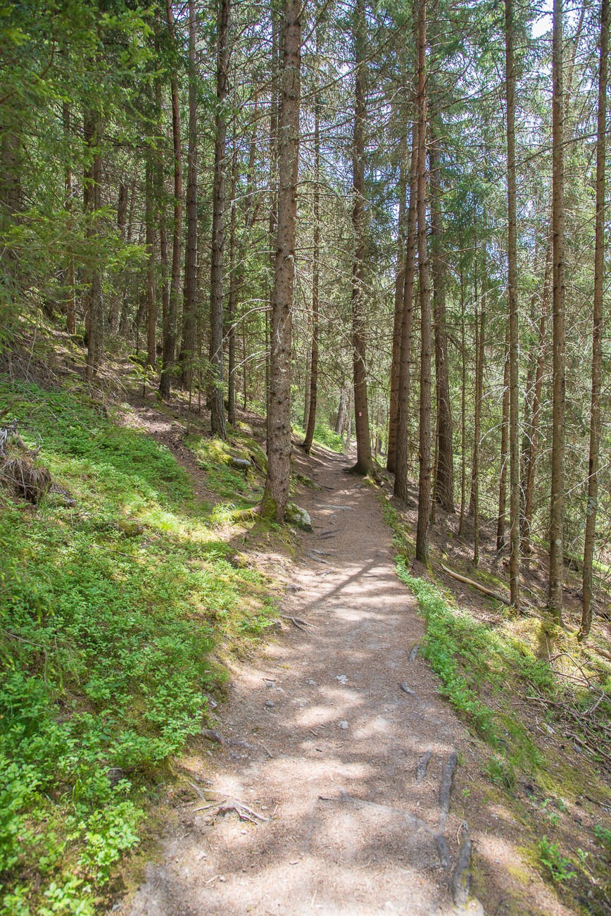 Schöner Waldweg