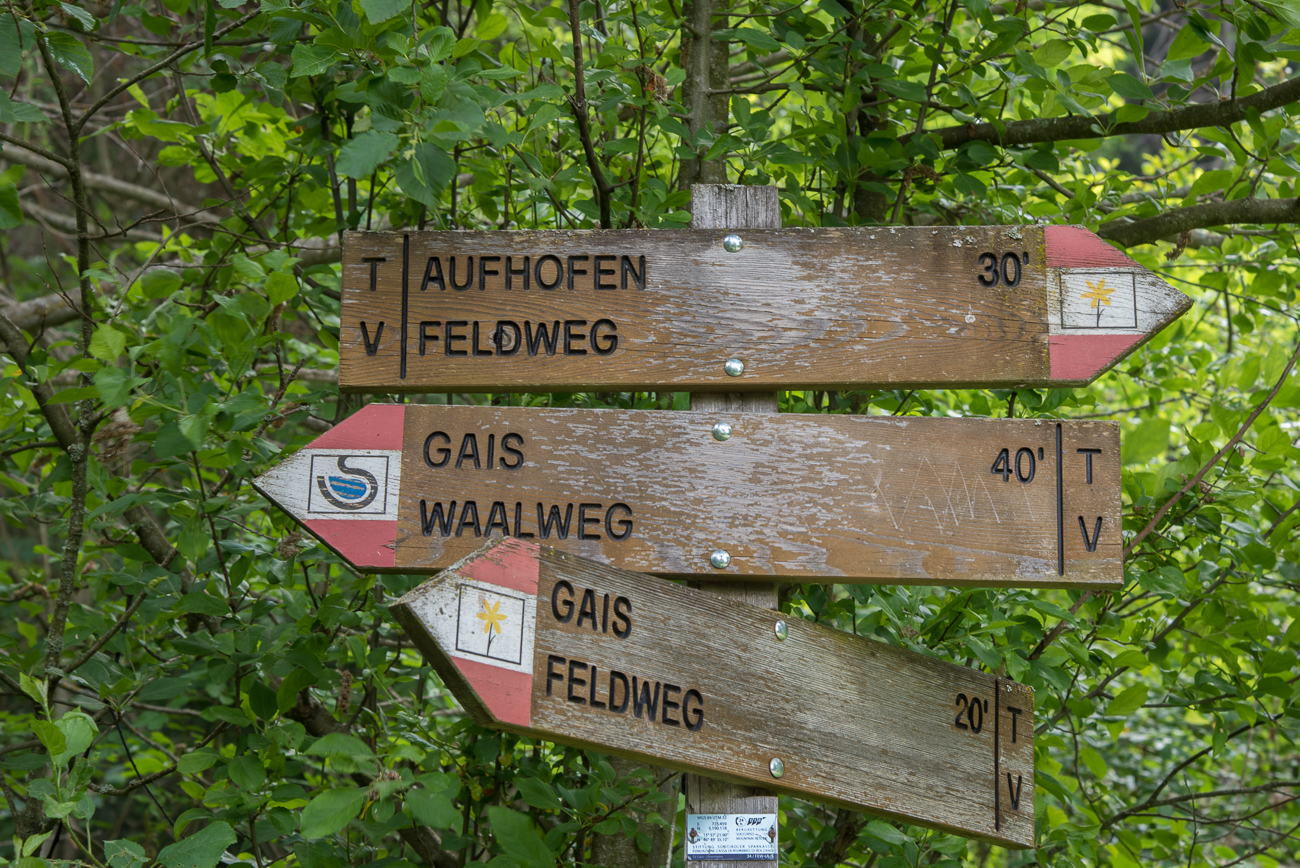 Nun geht es auf den Waalweg