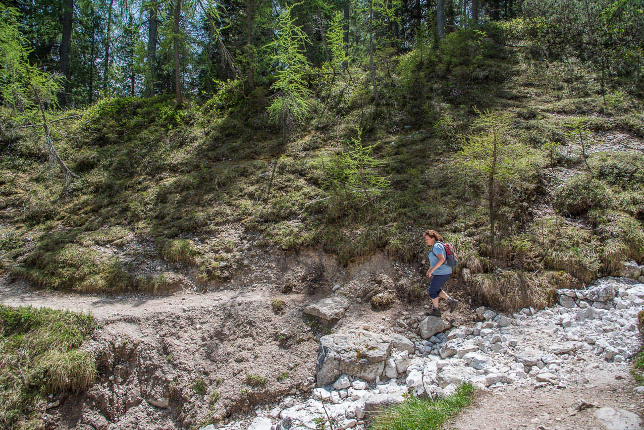 Noch ein Bachbett ...