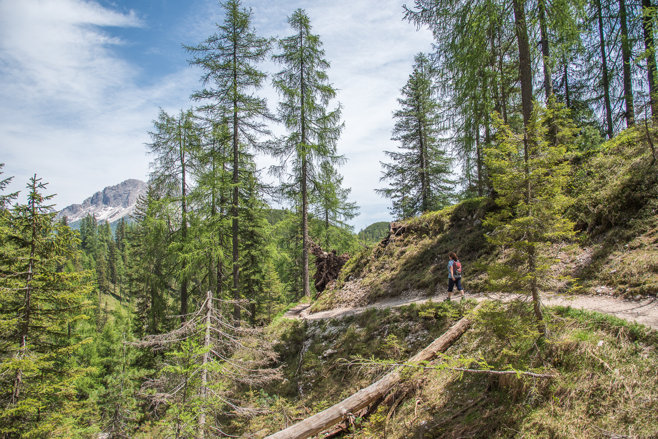 ... und ein paar Kehren