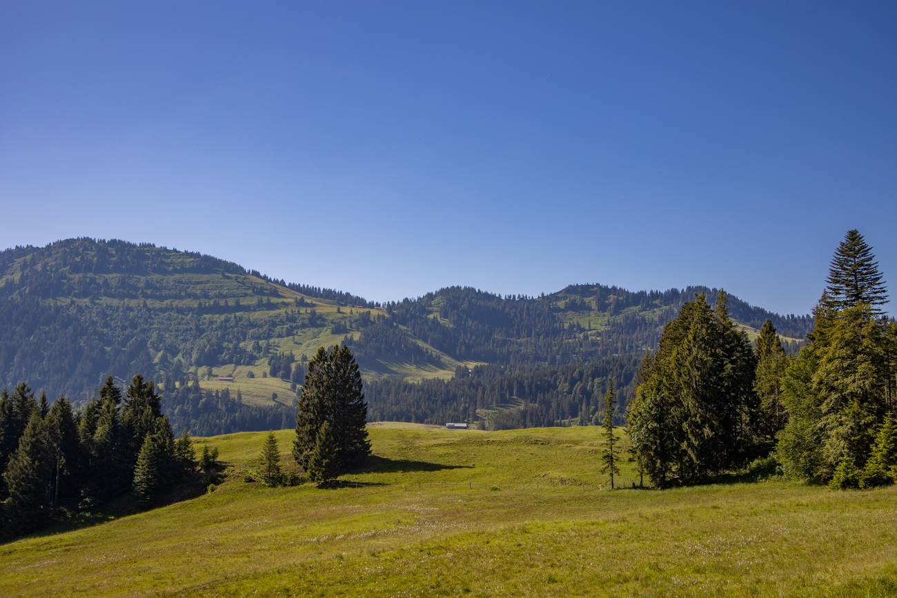 Auf der Anhöhe angekommen