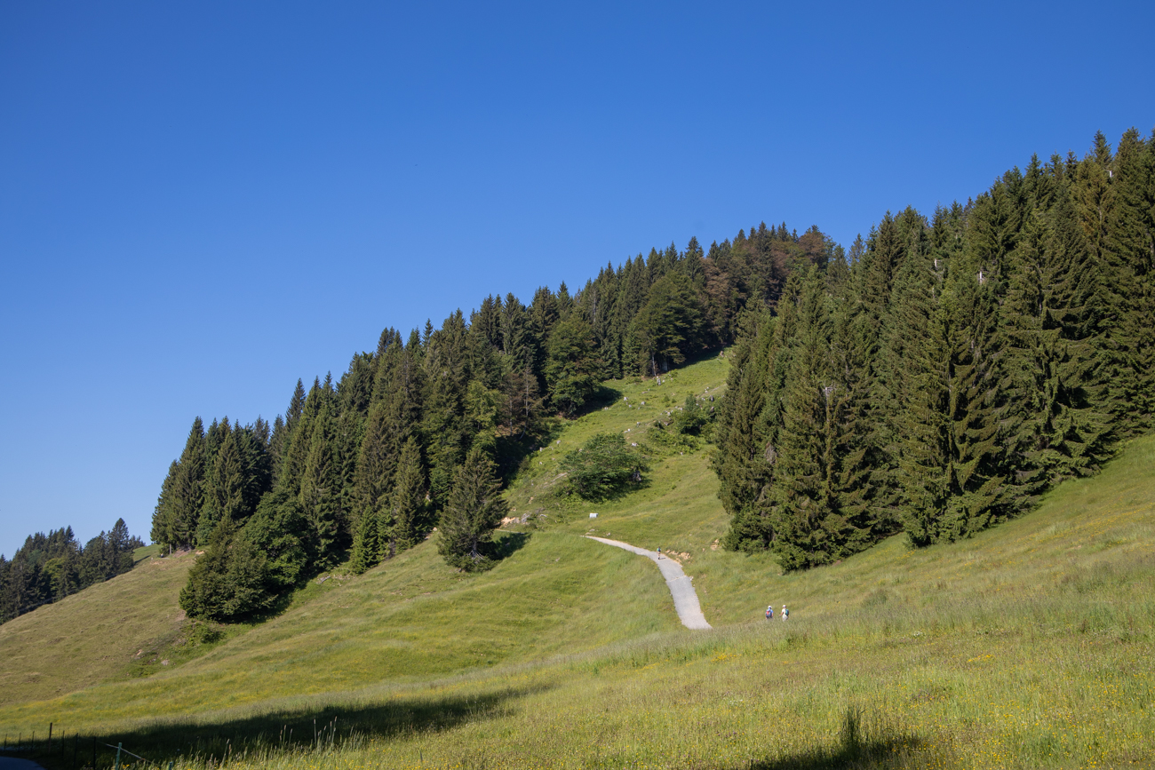 Wanderweg durch die schöne Landschaft