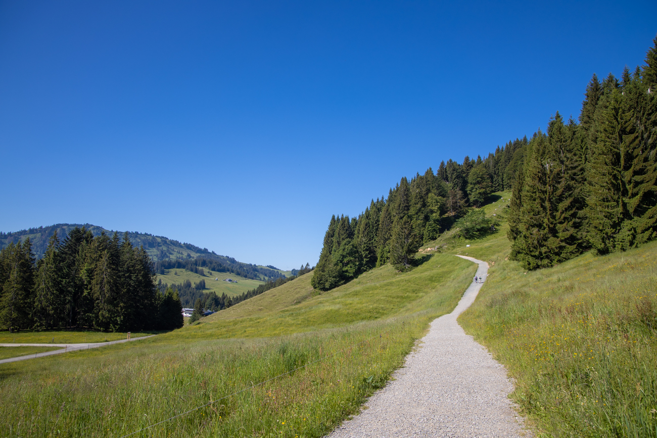 Erstmal wandern wie bergauf