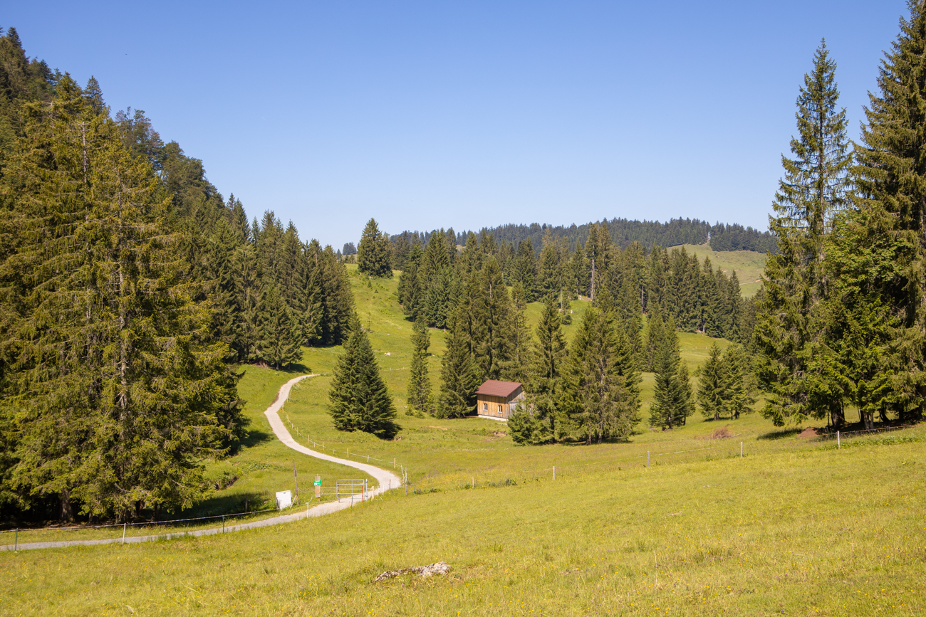 Immer wieder führt der Weg auf und ab