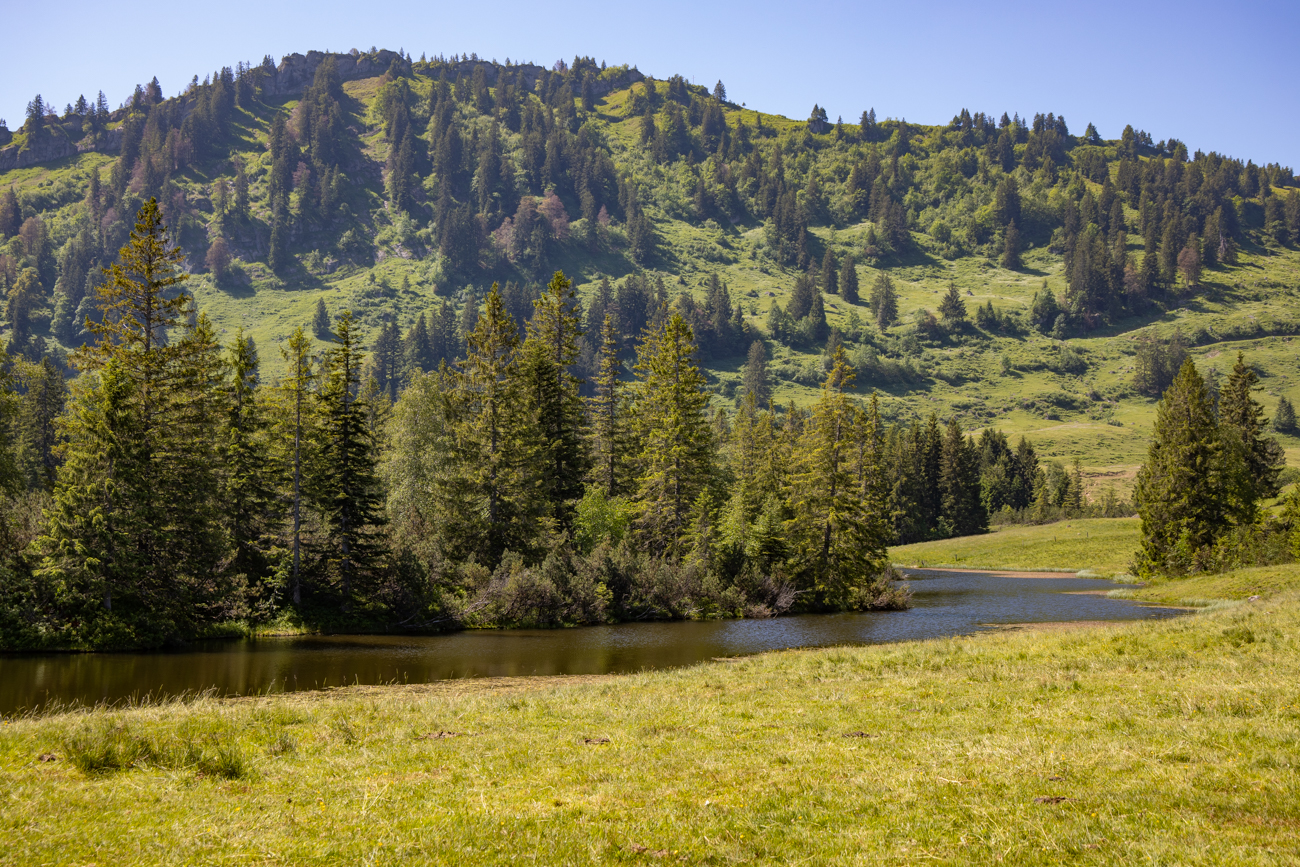 Der Hörmoos See