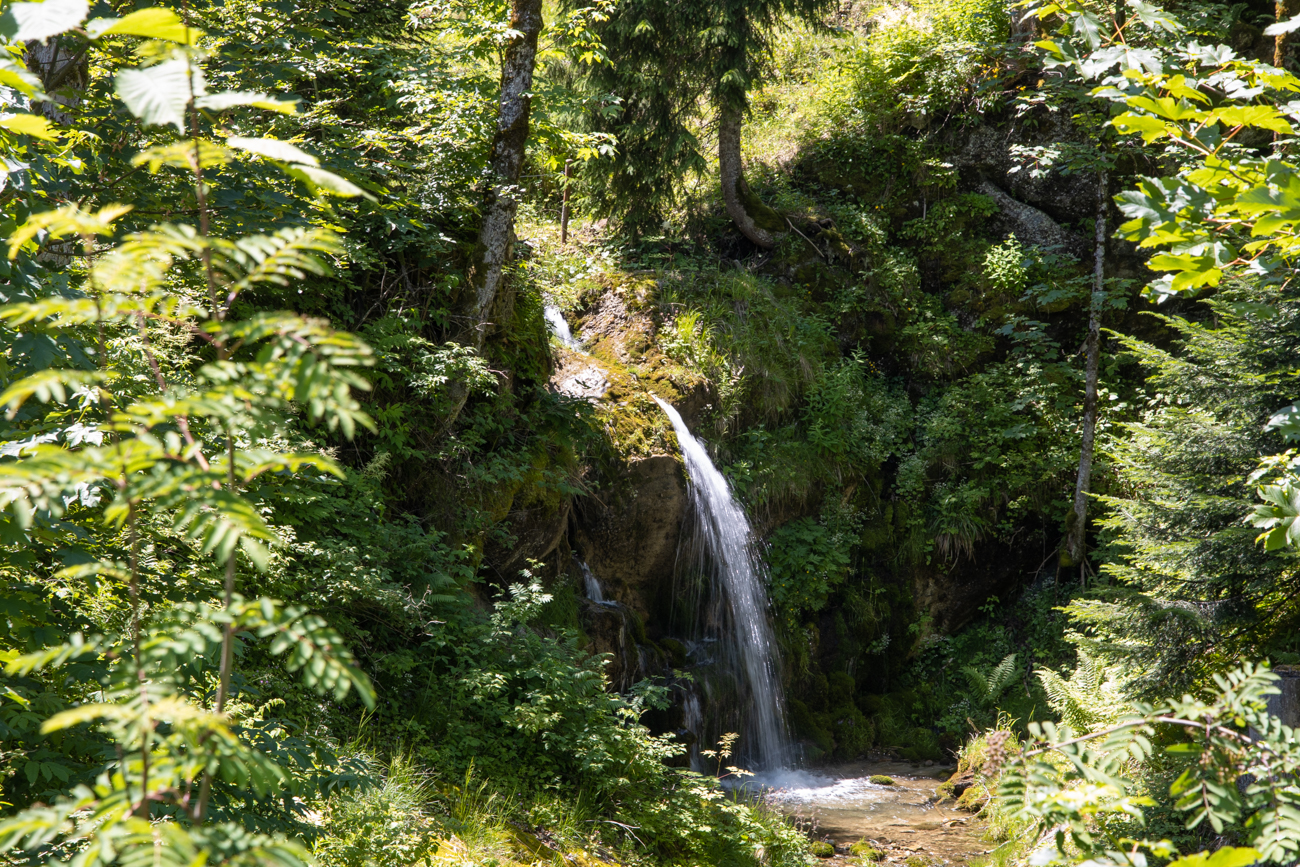 ... zu einem Wasserfall