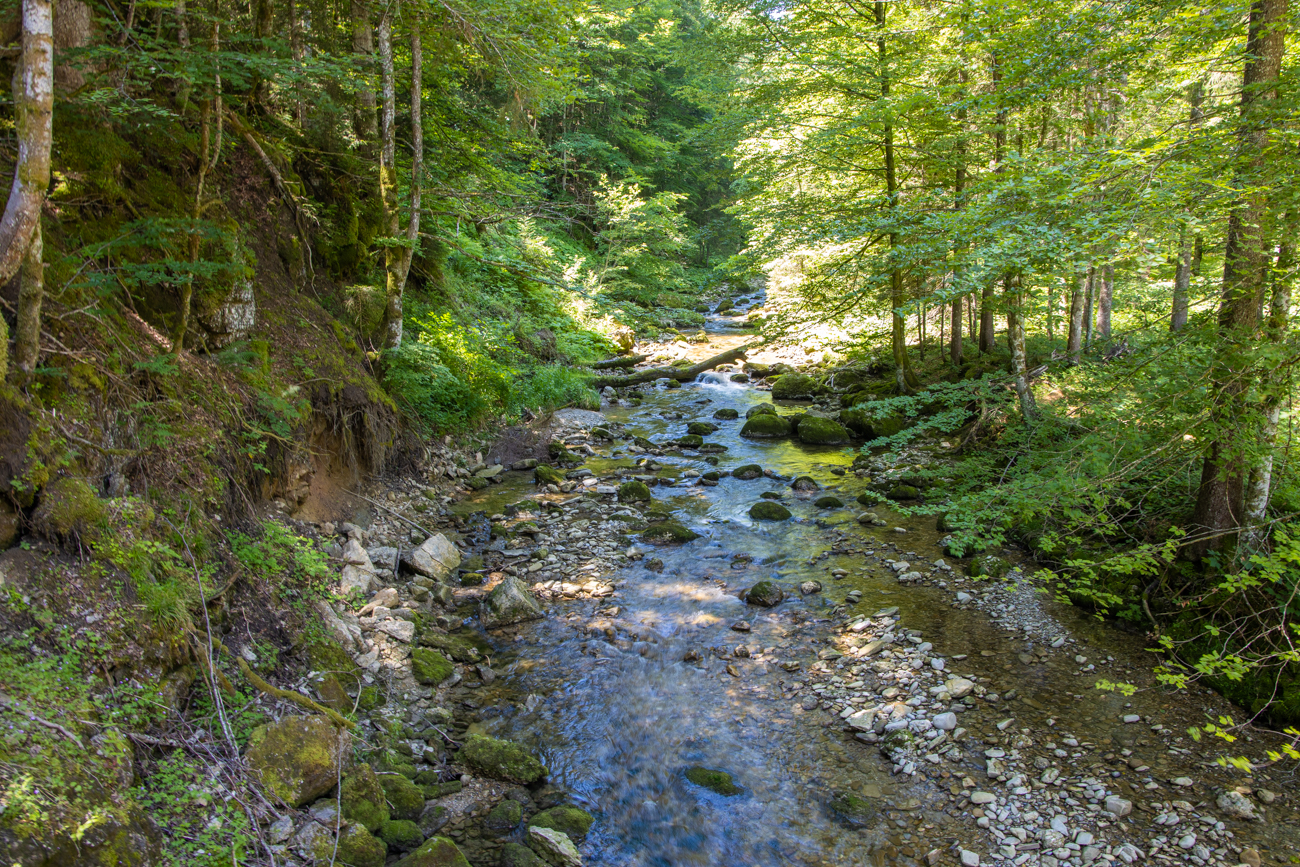 ... steigen wir zum Lanzenbach hinab