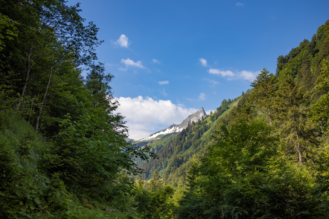 Berge in Sicht