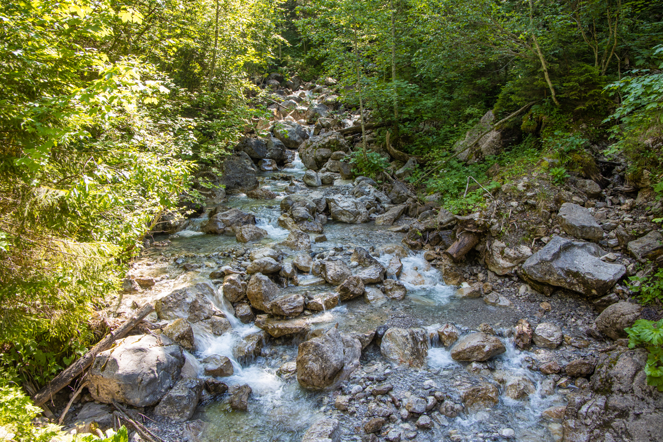 Dieser Wasserlauf ...