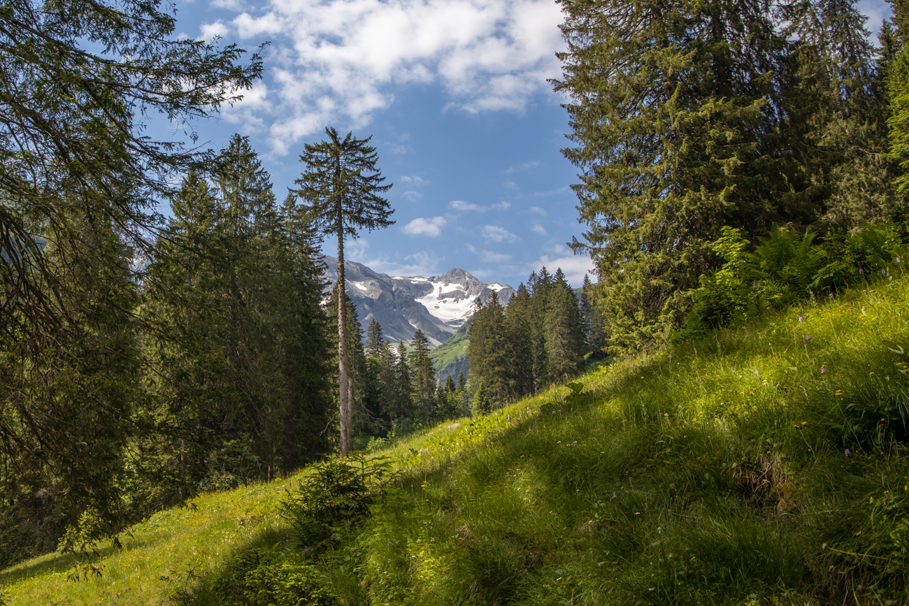 Schnee auf den Bergen