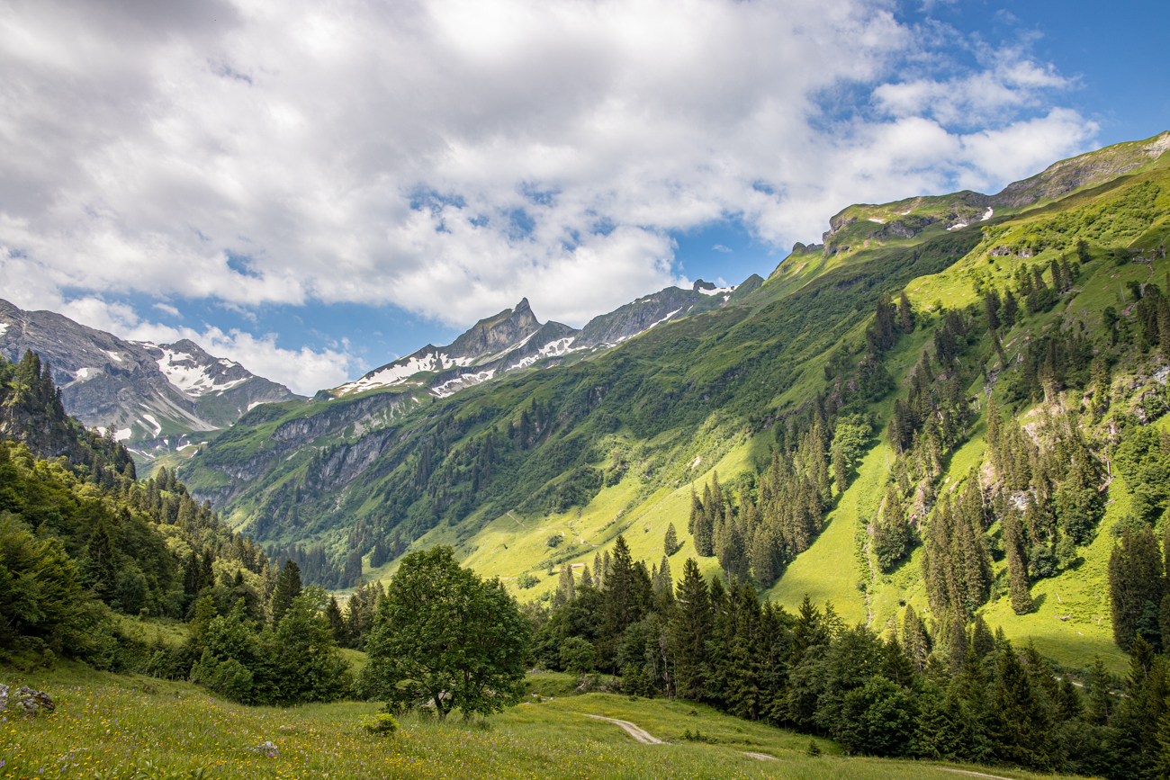 Blick ins Tal