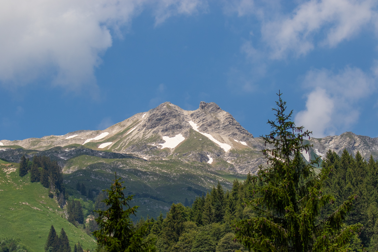 Schöne Berge, aber leider haben wir keinen Steinadler gesehen