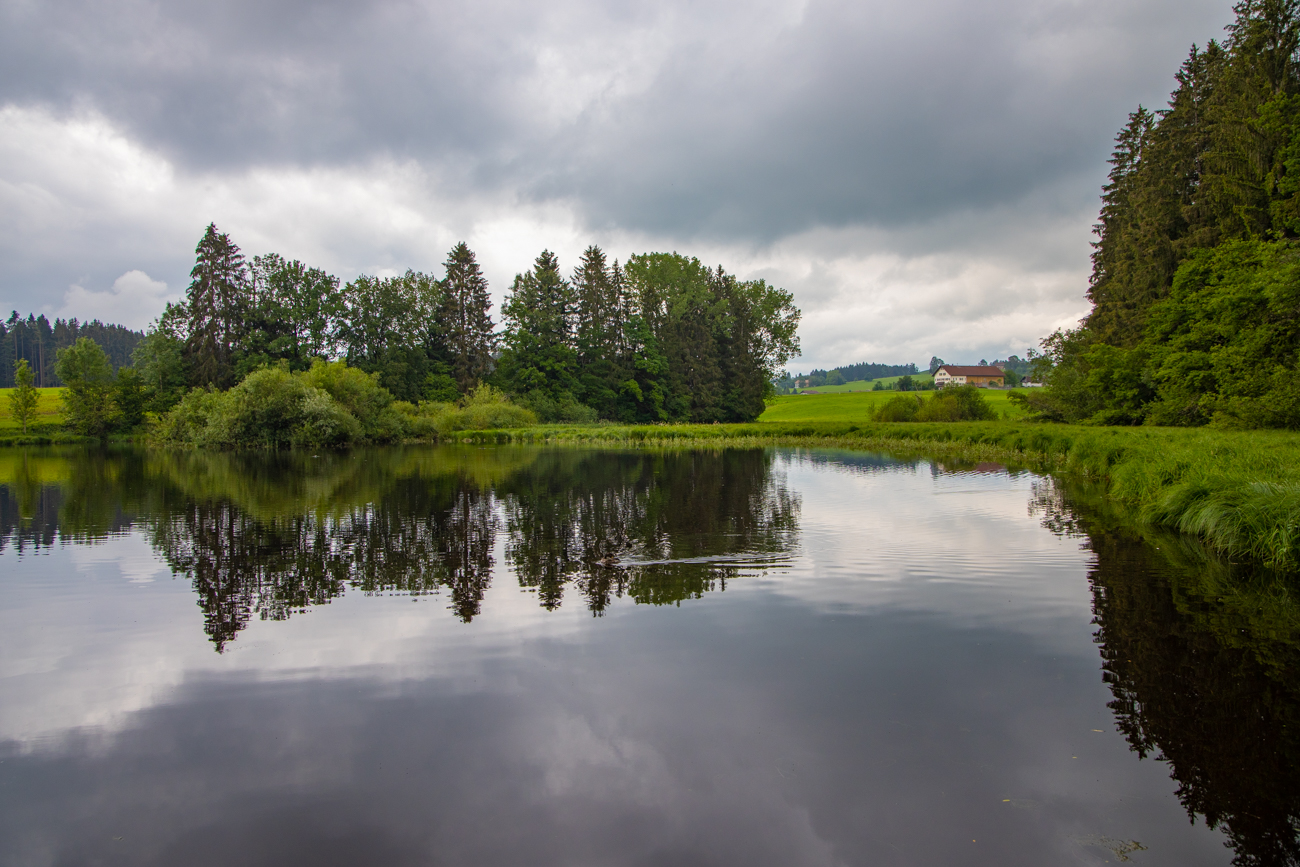 Am Biesenweiher ...