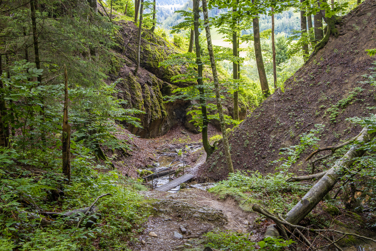 Hinter Oberstaufen geht es erstmal durch eine Schlucht bergab