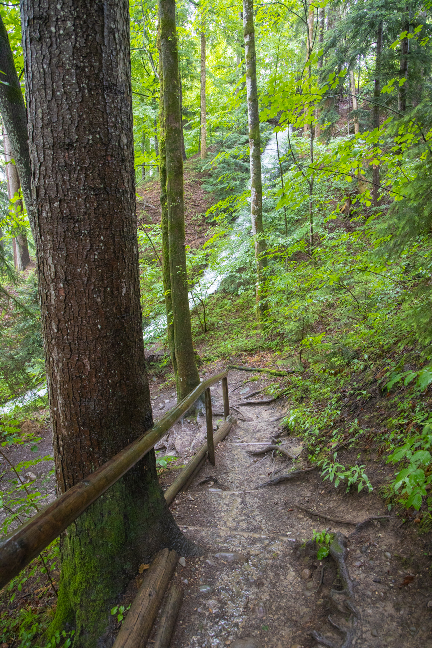 Rutschiger Abgang in die Eistobelschlucht