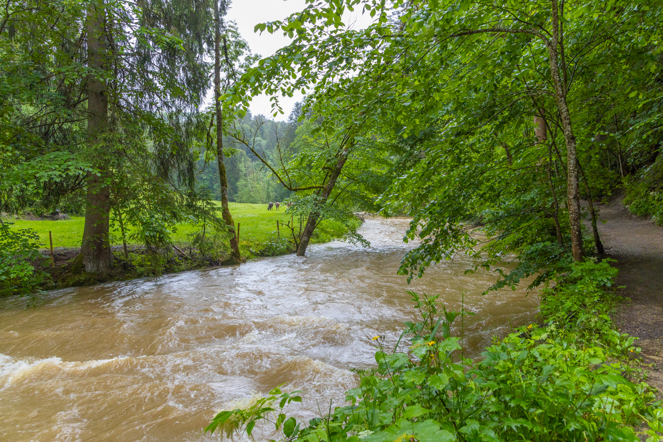 Auch der Fluss Argen ist gut regengenährt