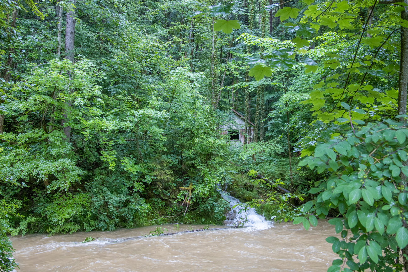 Hütte im Wald