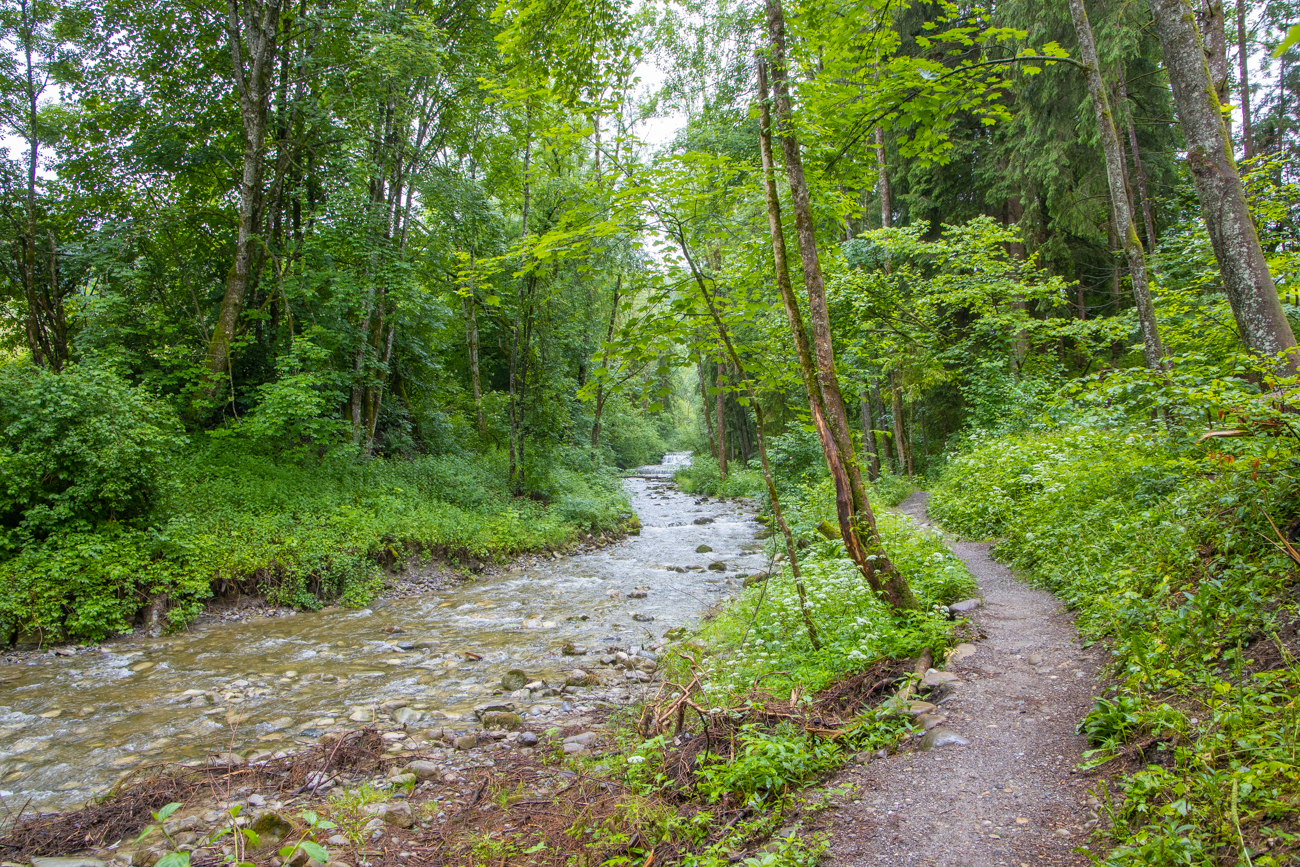 Wanderweg entlang des Hausbachs