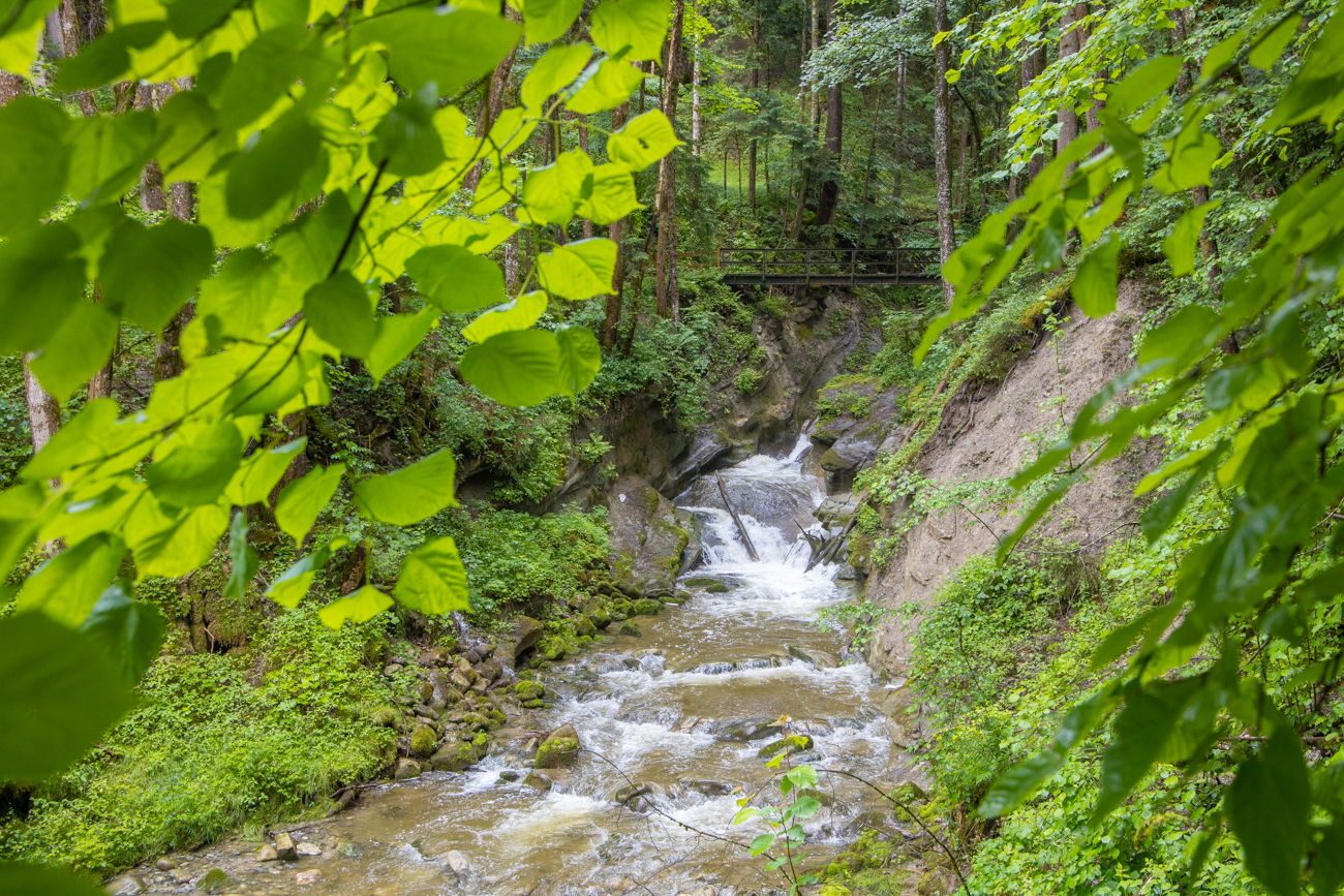 Wir nähern uns der Klamm