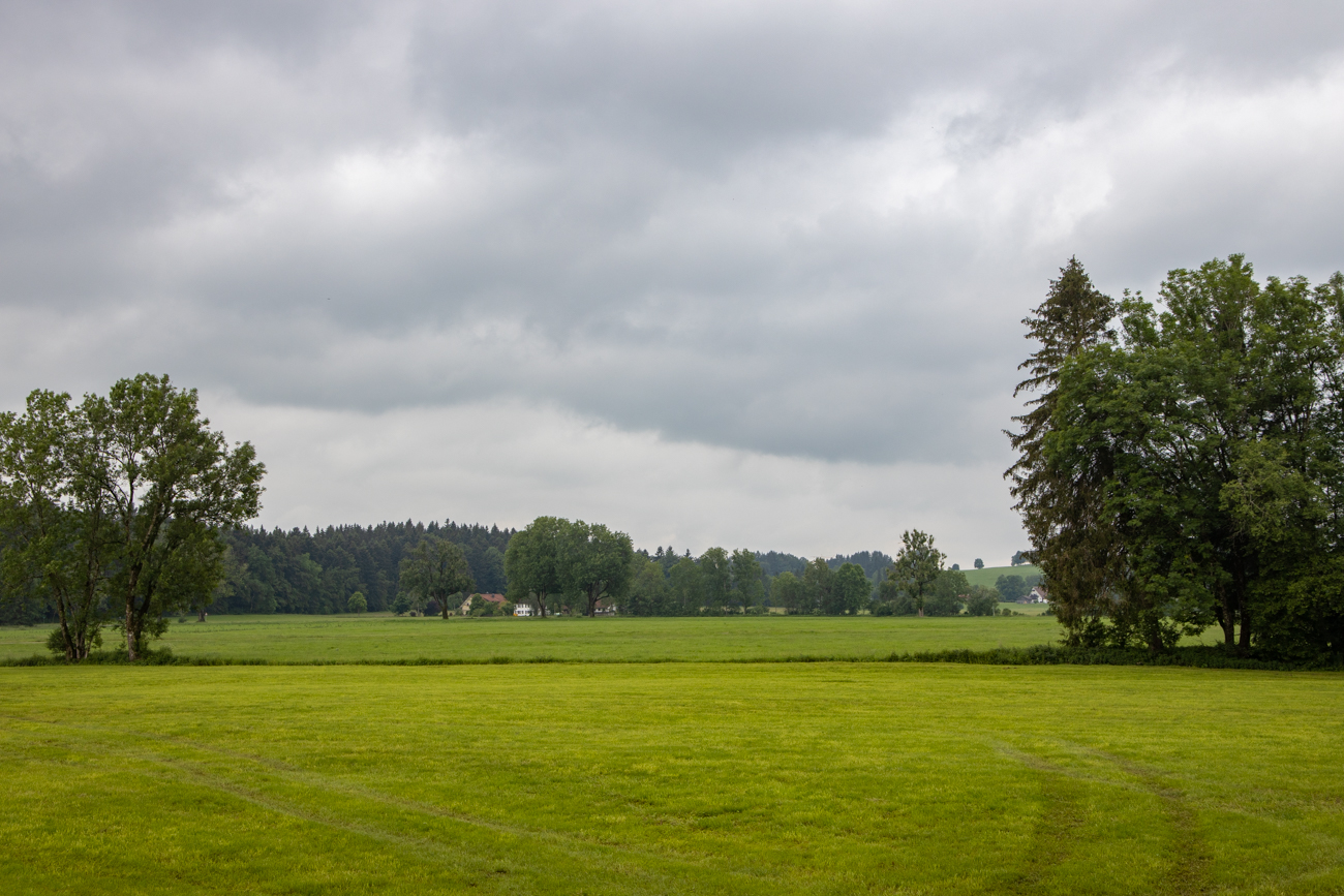 Auf dem Rückweg ...