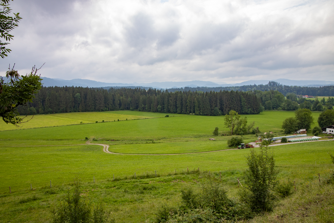 Allgäu-Landschaft