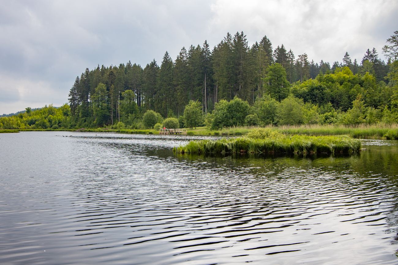 Der Herbisweiher