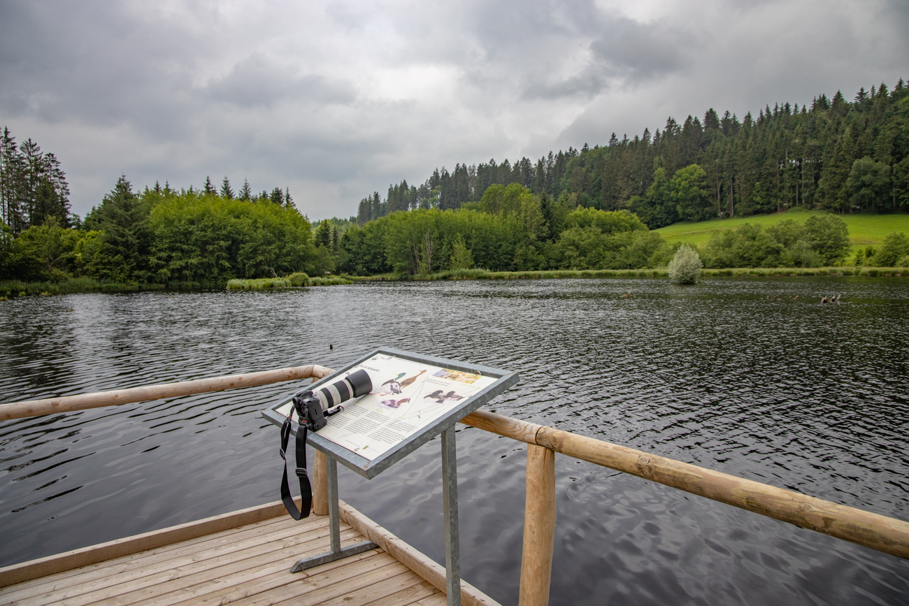 Der Herbisweiher