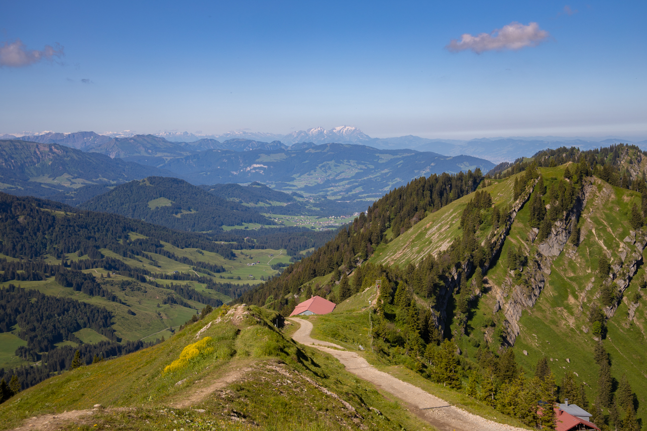 Zunächst geht es diesen Weg hinab