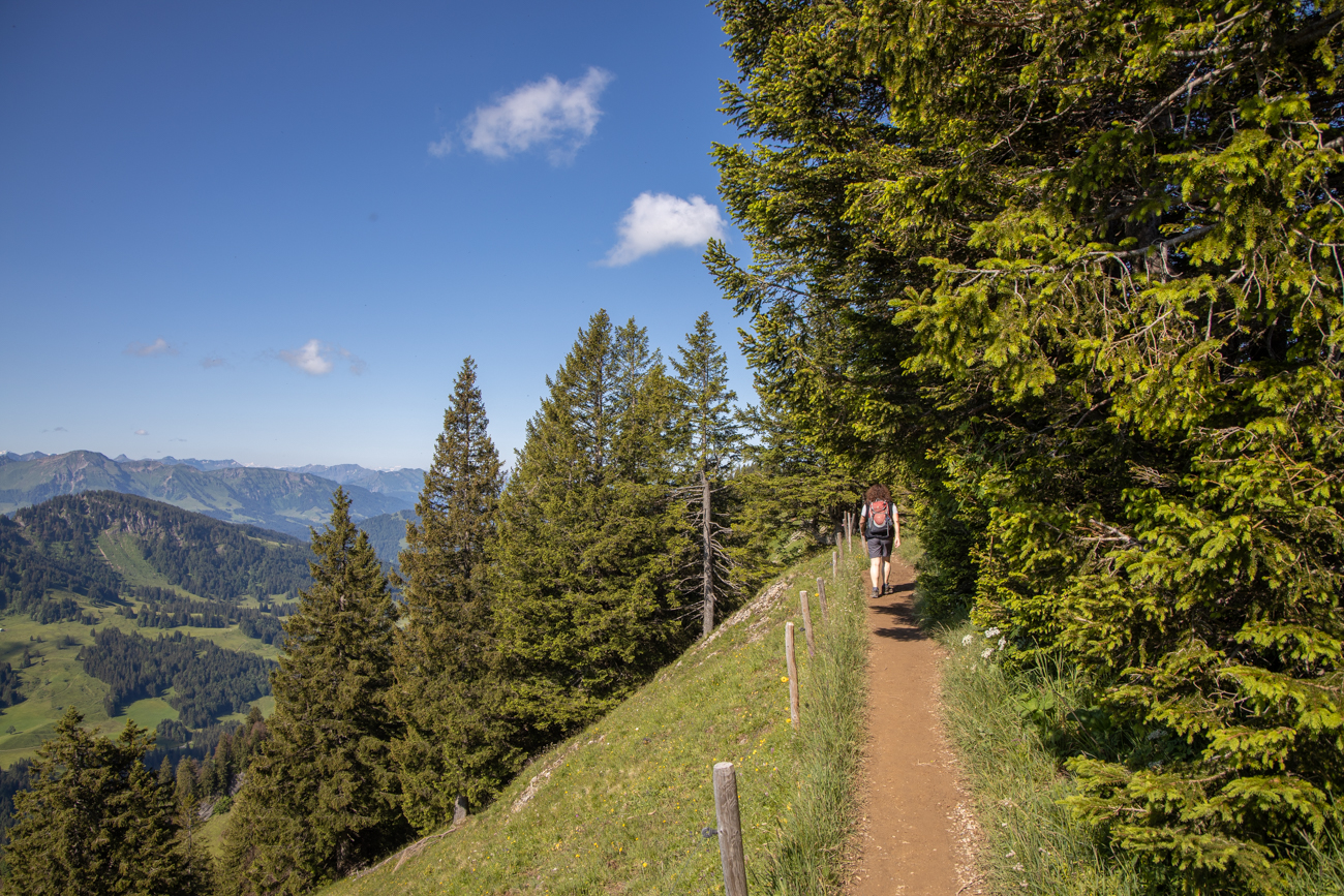 Auf dem Wanderpfad