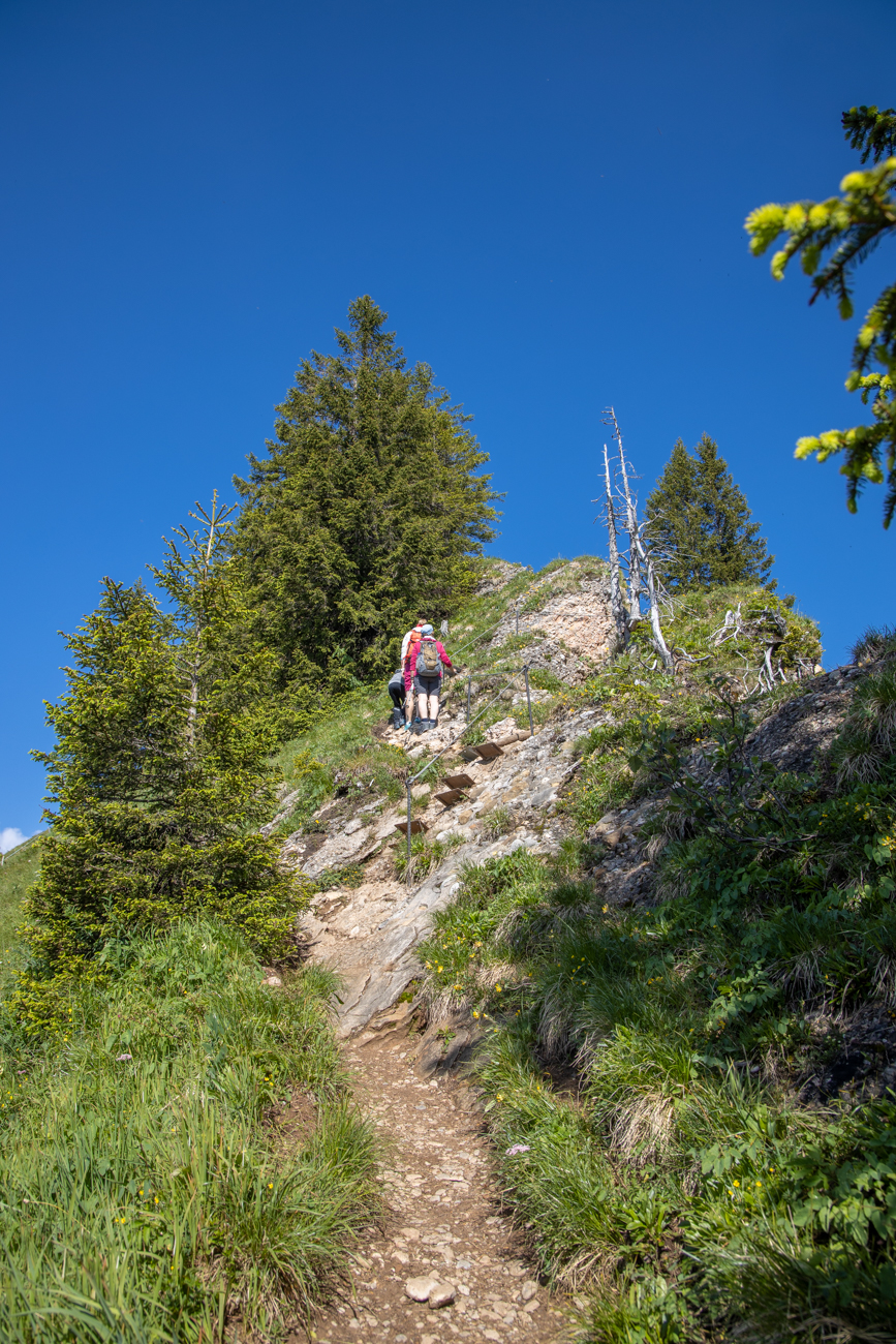 Leichter Stau am Berg ;-)