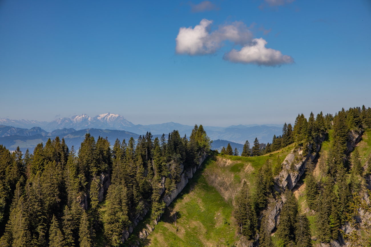 ... auf die Berge am Horizont