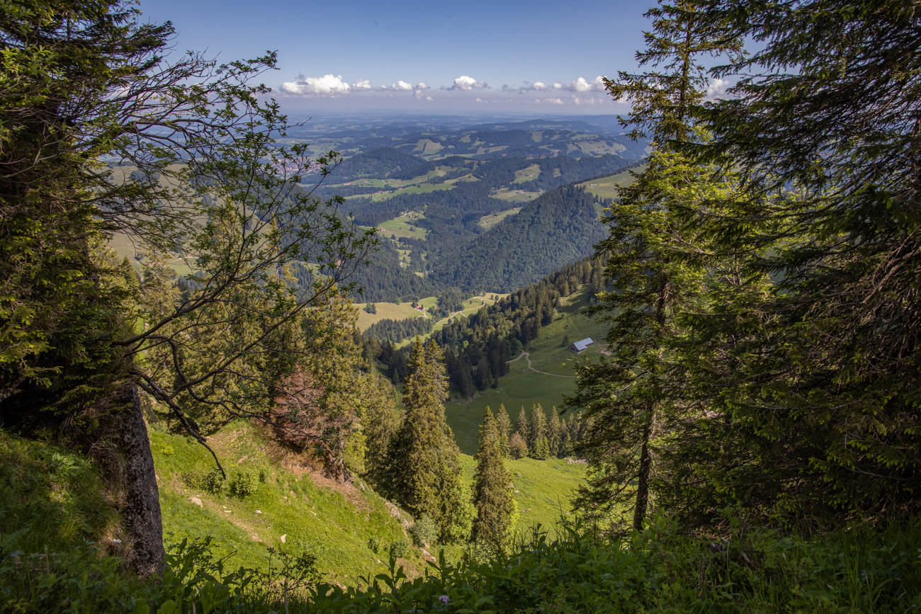 Sennerei im Nebental